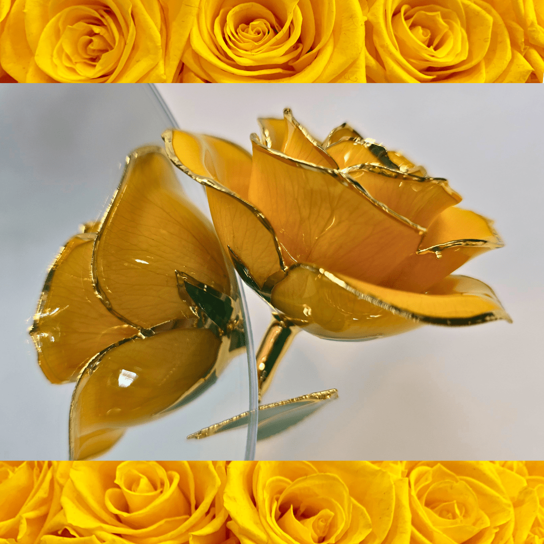 24K Gold - Dipped Yellow Rose Gift - Lumina Luxe - Gift Item - Coastal Charm Creators