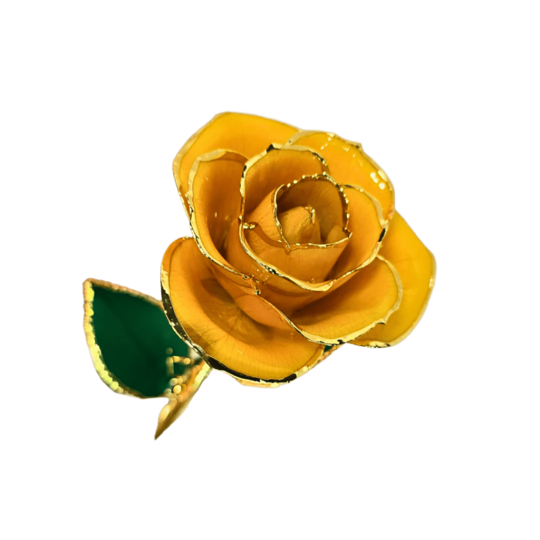 24K Gold - Dipped Yellow Rose Gift - Lumina Luxe - Gift Item - Coastal Charm Creators