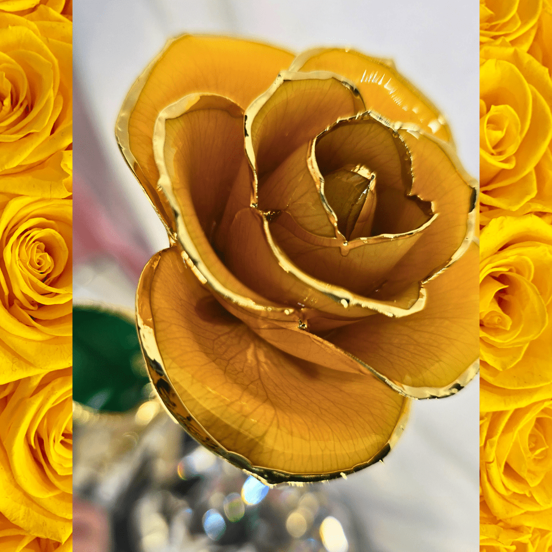 24K Gold - Dipped Yellow Rose Gift - Lumina Luxe - Gift Item - Coastal Charm Creators