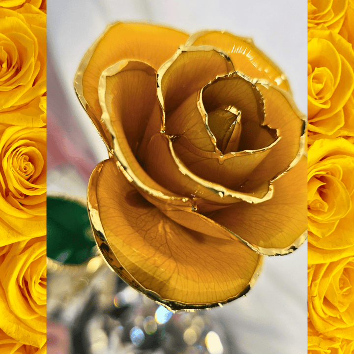 24K Gold - Dipped Yellow Rose Gift - Lumina Luxe - Gift Item - Coastal Charm Creators