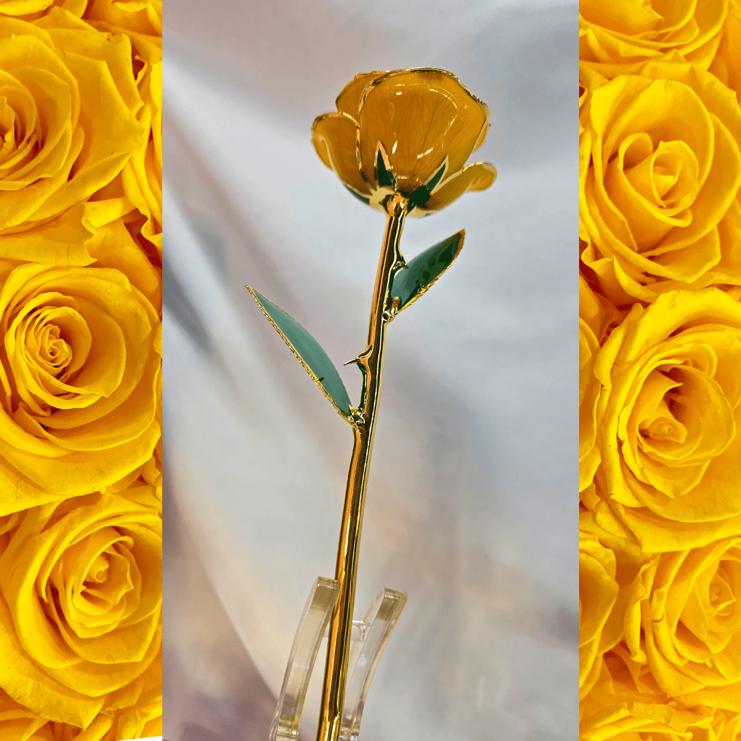 24K Gold - Dipped Yellow Rose Gift - Lumina Luxe - Gift Item - Coastal Charm Creators