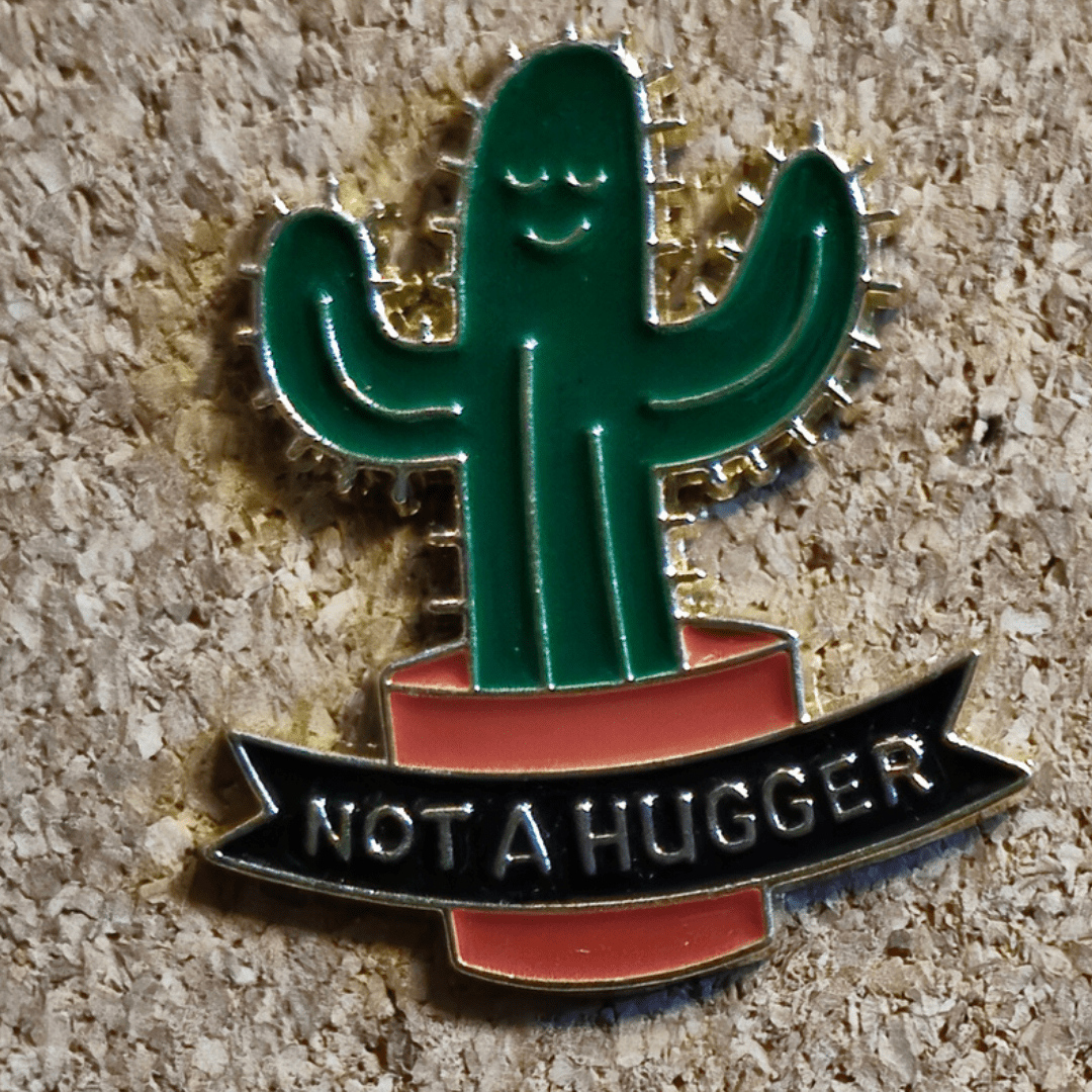 No Huggy the Cacti Pin - Glitz & Gleam - Brooches - Coastal Charm Creators