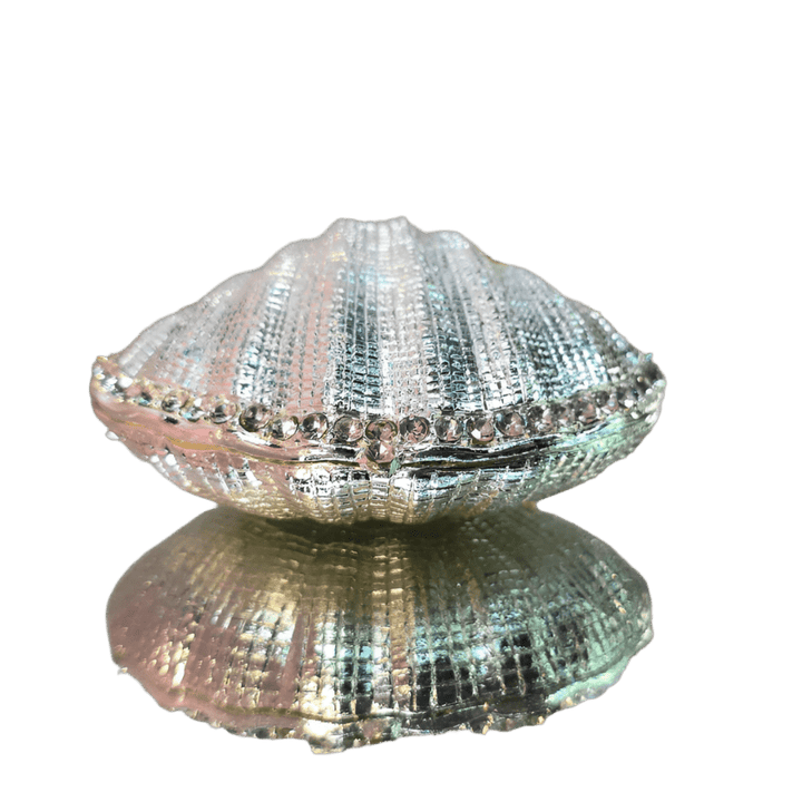 Silver Enchanted Seashell Trinket Box - Lumina Luxe - Jewelry Box - Coastal Charm Creators